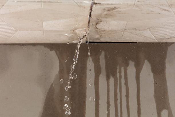 Professional Water Damage Repair technician working in Lane City, TX